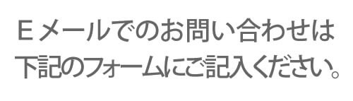 Eメールでのお問い合わせは下記のフォームにご記入ください。
