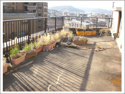 【便利屋】暮らしなんでもお助け隊 福岡茶山店　ベランダ植木鉢片付け施工前