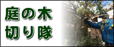 【便利屋】暮らしなんでもお助け隊 福岡茶山店にて何でも屋・便利屋サービス「庭の木切り隊」は、遠く離れた福岡のご実家が空き家となり、お庭でボウボウに伸びた庭木の伐採、庭木の剪定を行っています。さらに庭にある倉庫の片付けなども行っています。その他、福岡のご実家・ご両親の心配事・お困り事何でも解決しています。ご相談ください。